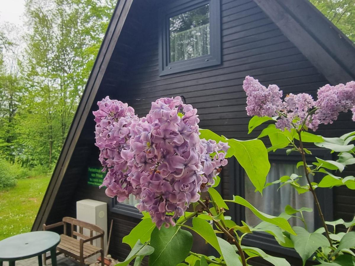 Ferienhaus Marie 125 Bad Arolsen Luaran gambar